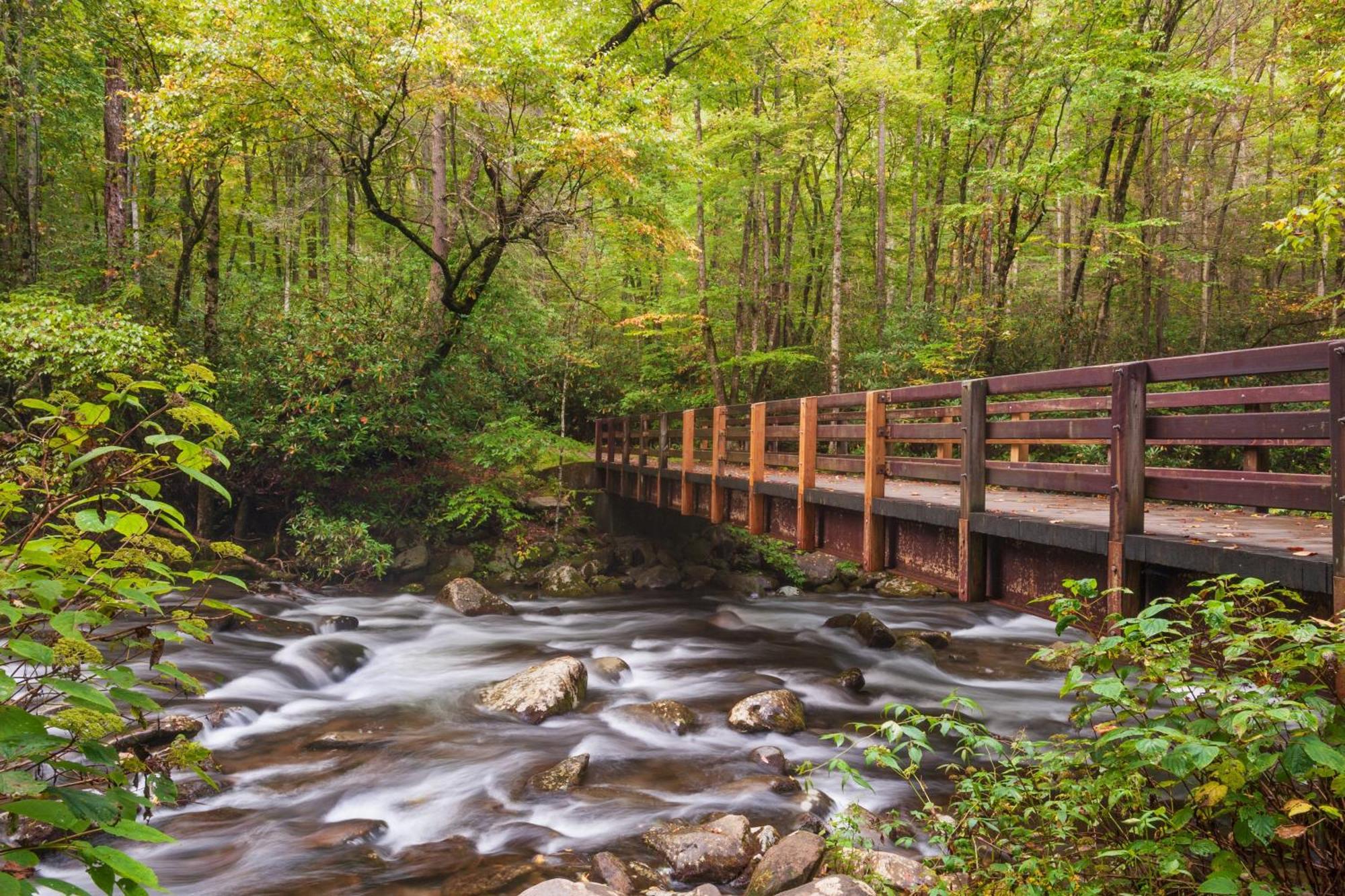 Whispering Winds, Hot Tub, Game Room, Wifi, 1089 Free Tickets Each Paid Day, Dollywood And More Gatlinburg Luaran gambar